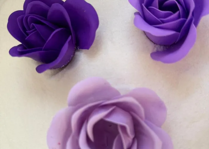 Holiday home Pure Wellness 121 Sauna&massage&hottub